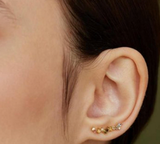Amelia Ear Climber