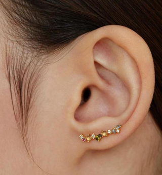 Amelia Ear Climber