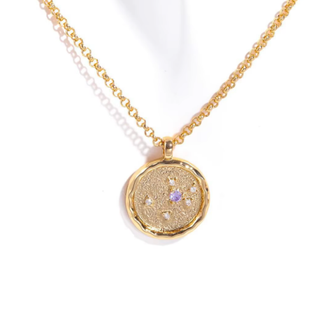 Celestial Zodiac Birthstone Coin and CZ Necklaces- 14K gold 